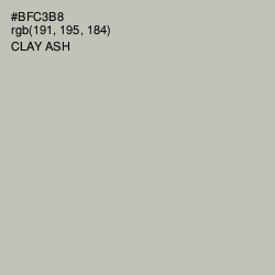 #BFC3B8 - Clay Ash Color Image